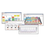 SYN1SW20 Лицензия на подключение функции контроля для 5 дополнительных устройств (исключая контроллеры электрогенераторов серии RG) preview