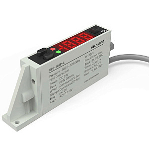 DPG-10TP Датчик давления газа